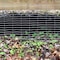 Garden Zone Garden Craft 40 in. H X 50 ft. L Galvanized Steel Welded Wire Fence 344050 - alternate 9